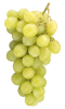 Bunch of white wine grapes.