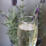 Lavender whisper cocktail in a champagne flute and garnished with lavender.