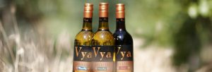 Vya Sweet Vermouth, Vya Extra Dry Vermouth and Vya Whisper Dry Vermouth sitting next to each other in a field.