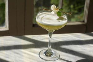 Spring cocktail in a coupe glass with an edible flower garnish in front of a window.