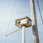 Owl Box next to a power pole at Quady Winery