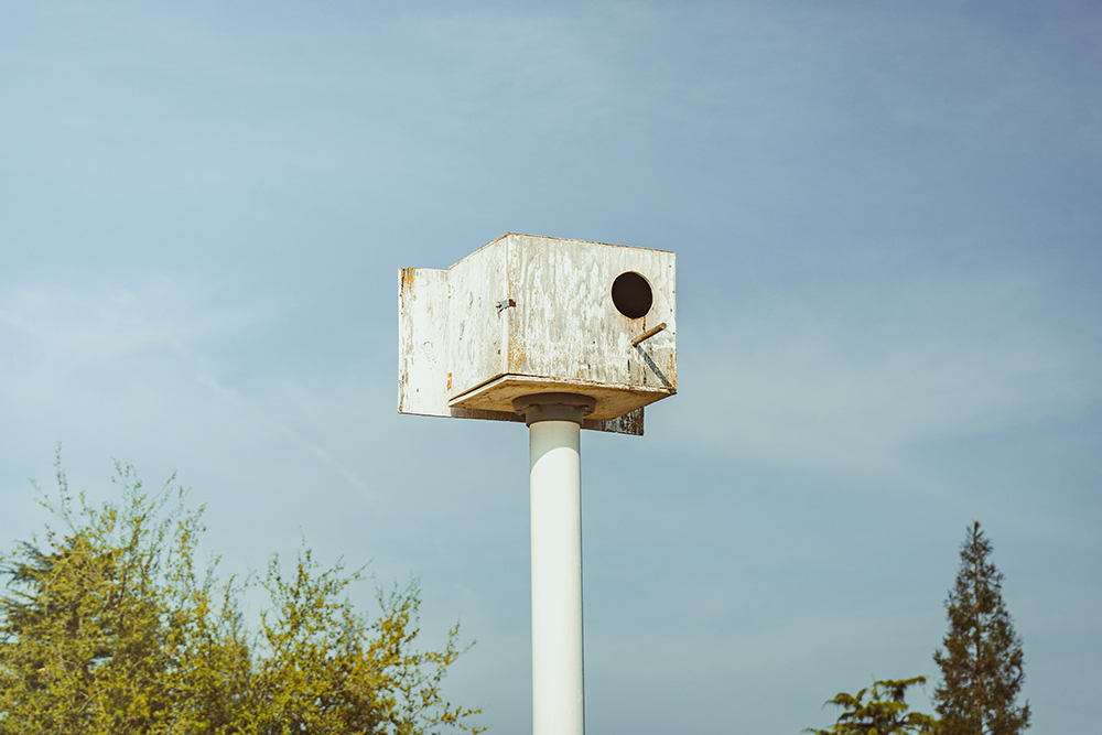 Owl box in a certified sustainable vineyard