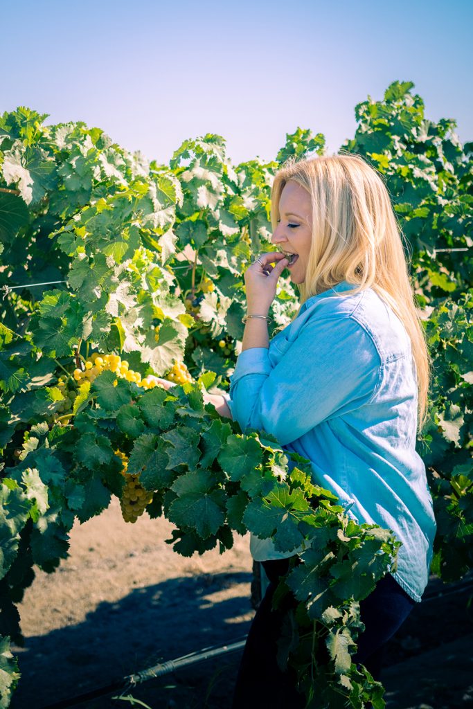Winemaker Crystal Weaver-Kiessling tasting grapes before harvest