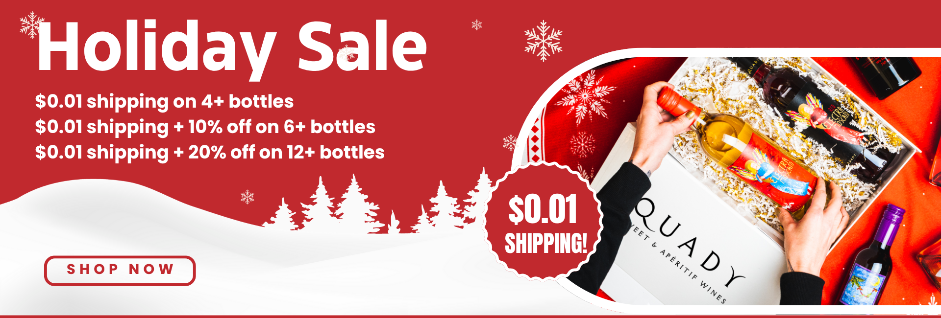 Holiday Sale 2025 Web Banner